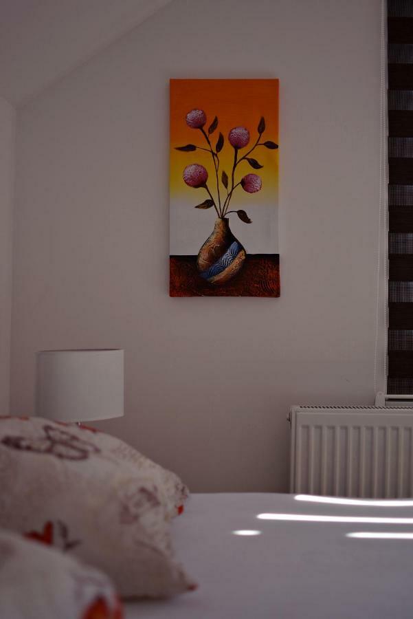 Apartmani Nikolic Višegrad Kültér fotó